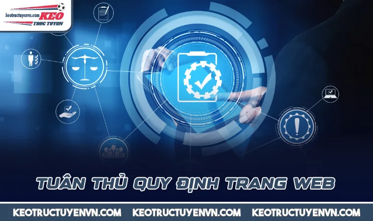 Tuân thủ quy định trang web